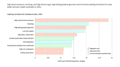 chart showing the leading risk factors for disease burden in 2021 were high systolic blood pressure and smoking