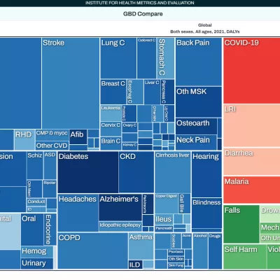 a tree map showing that primary causes of health loss include COVID-19, IHD, diabetes, depression, and neonatal disorders