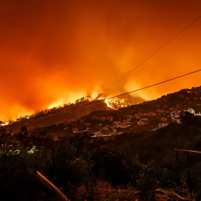 a wildfire blazing over a tree-covered hill