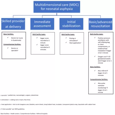 Chart of multidimensional care for neonatal asphyxia